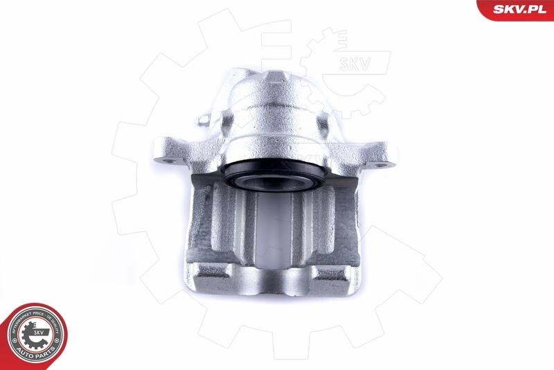 Brake Caliper 55SKV141