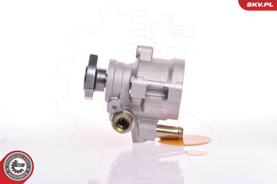 Hydraulic Pump, steering 10SKV147