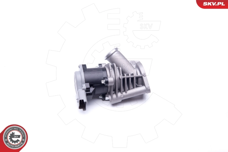EGR Valve 14SKV173