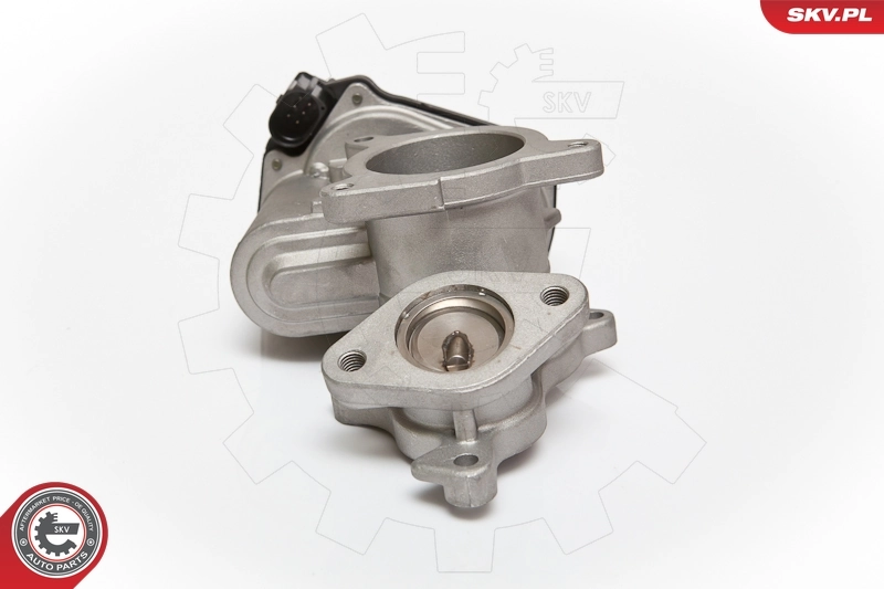 EGR Valve 14SKV083