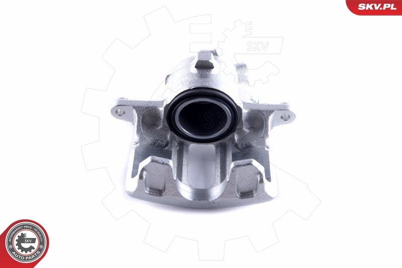 Brake Caliper 55SKV052