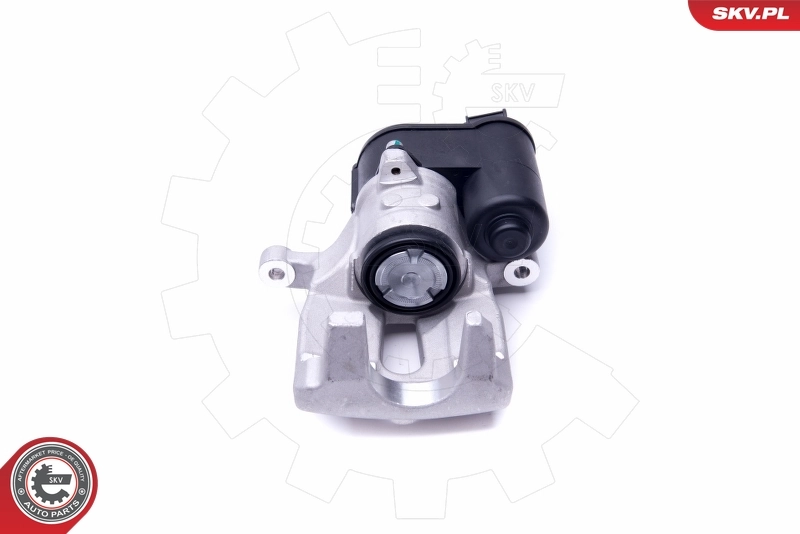 Brake Caliper 44SKV037