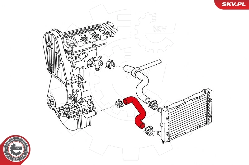Radiator Hose 43SKV724
