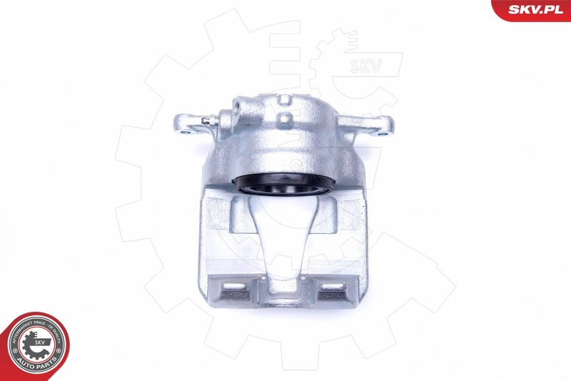 Brake Caliper 44SKV271