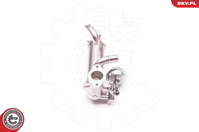 EGR Valve 14SKV119