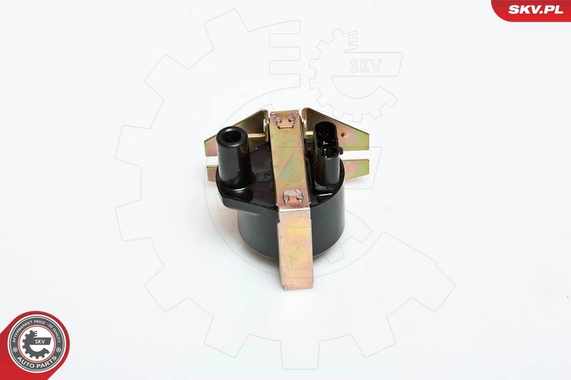 Ignition Coil 03SKV005