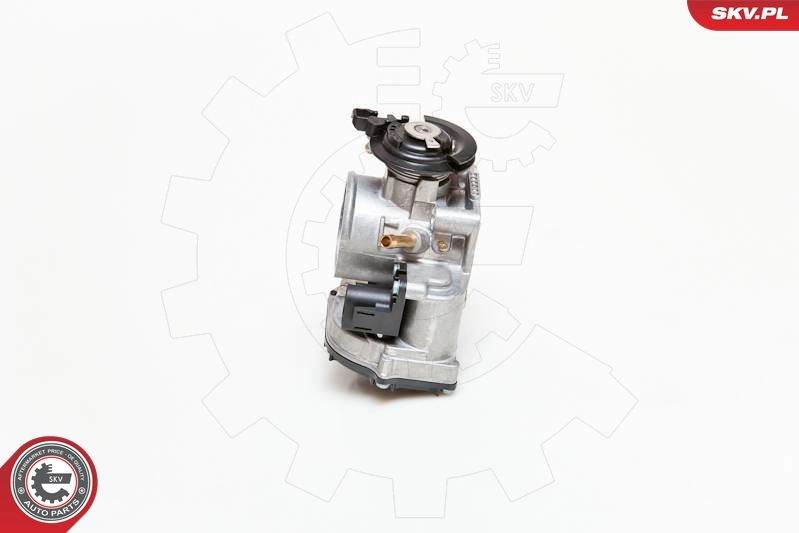 Throttle Body 12SKV004