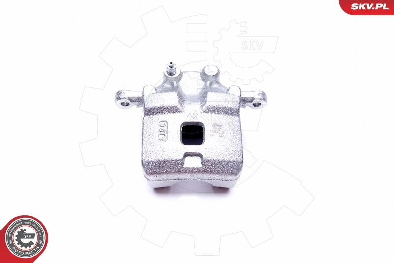 Brake Caliper 45SKV673