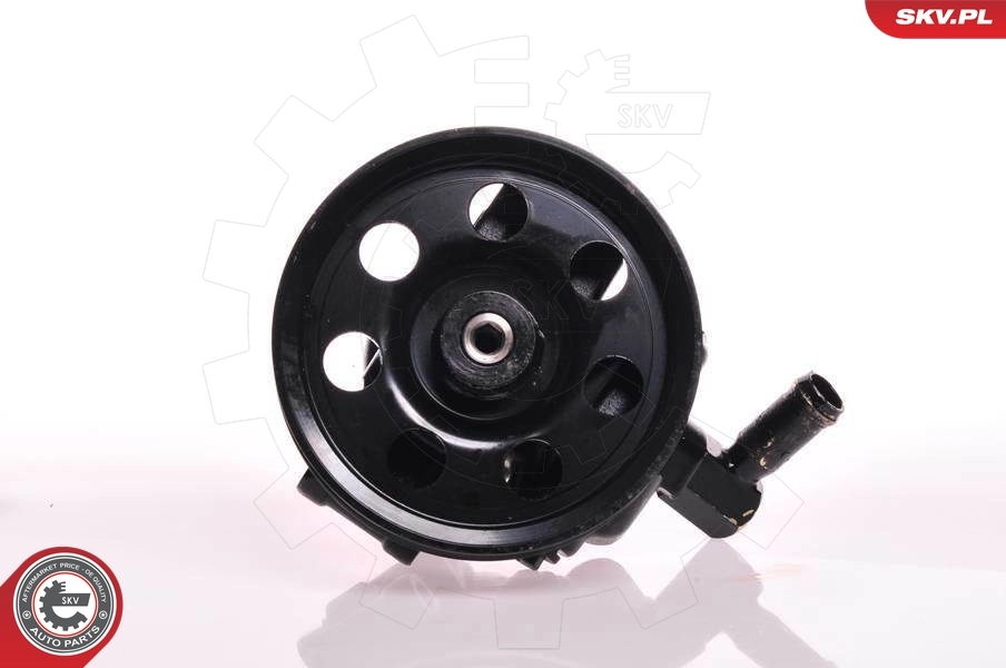 Hydraulic Pump, steering 10SKV019