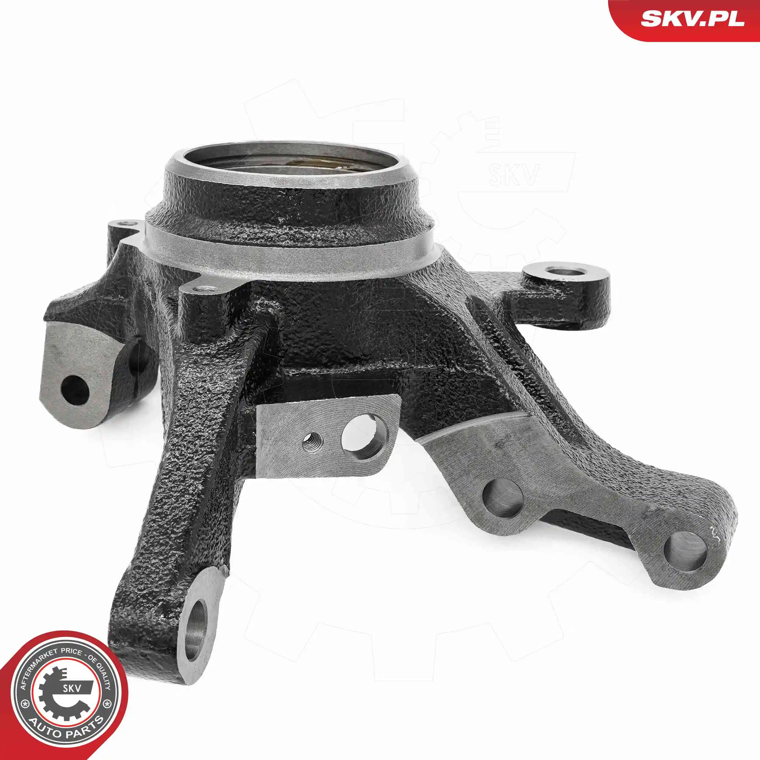 Steering Knuckle, wheel suspension 73SKV051