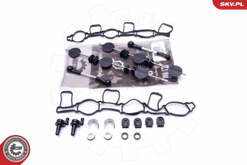 Repair Kit, intake manifold module 49SKV500