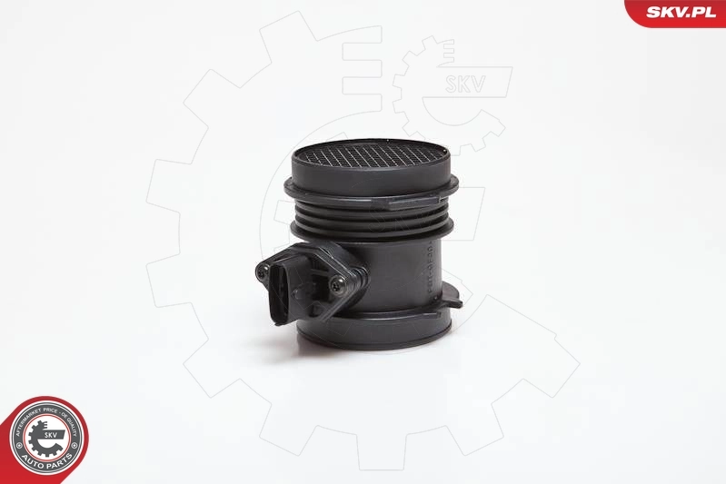 Mass Air Flow Sensor 07SKV059