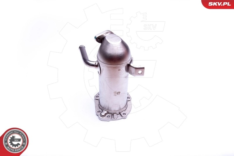 Cooler, exhaust gas recirculation 14SKV195