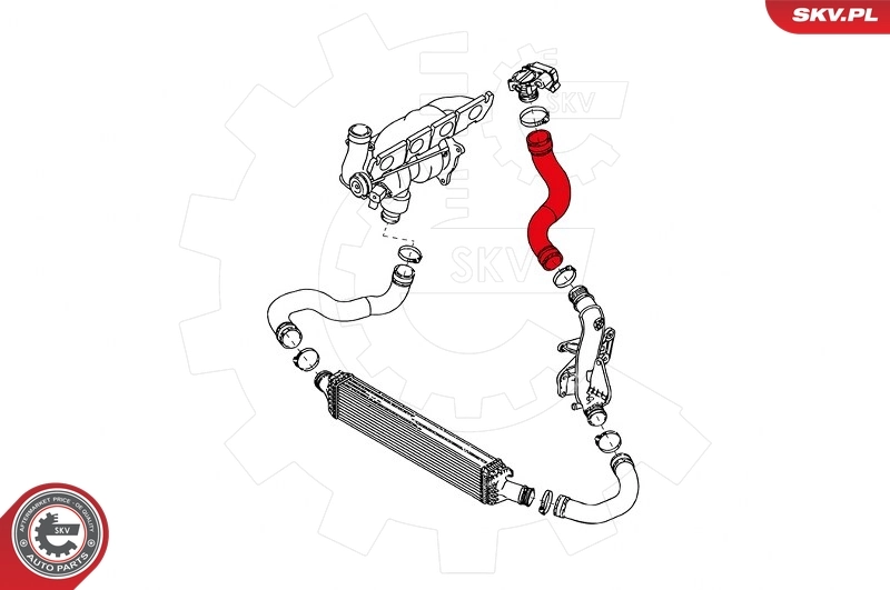 Charge Air Hose 24SKV600