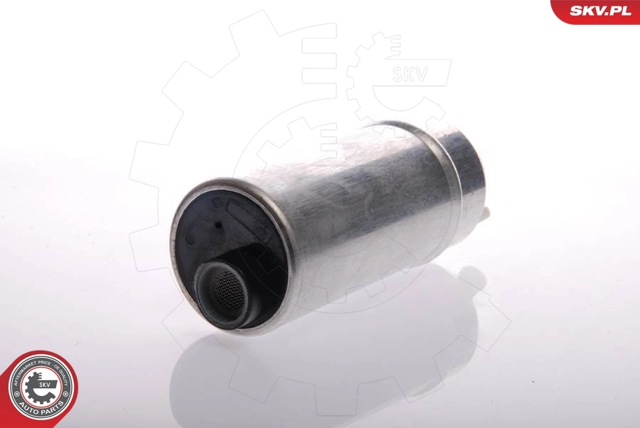 Fuel Pump 02SKV272