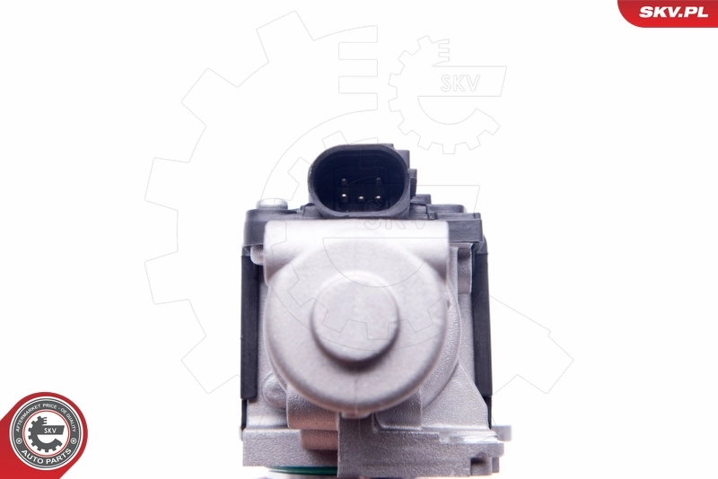 EGR Valve 14SKV170