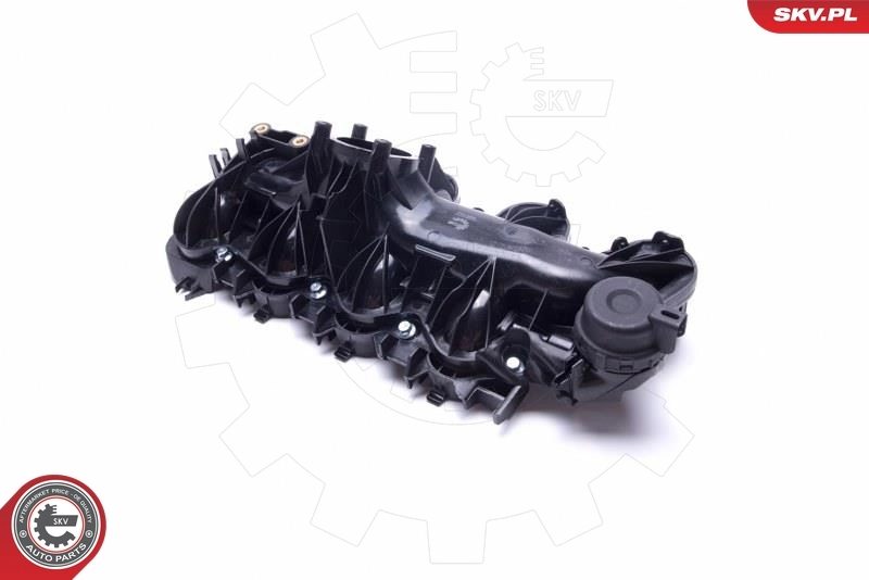 Intake Manifold Module 49SKV065