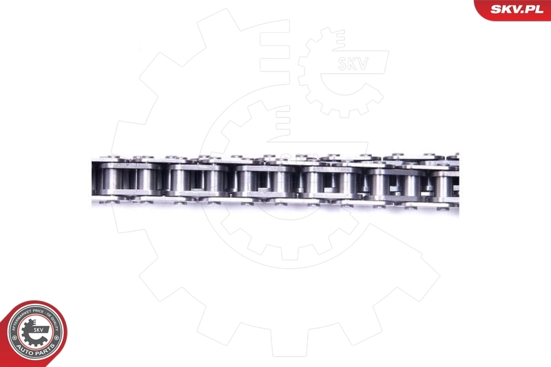 Timing Chain Kit 21SKV117