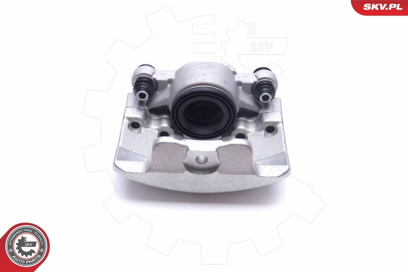Brake Caliper 55SKV931