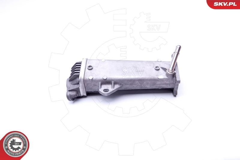EGR Valve 14SKV191