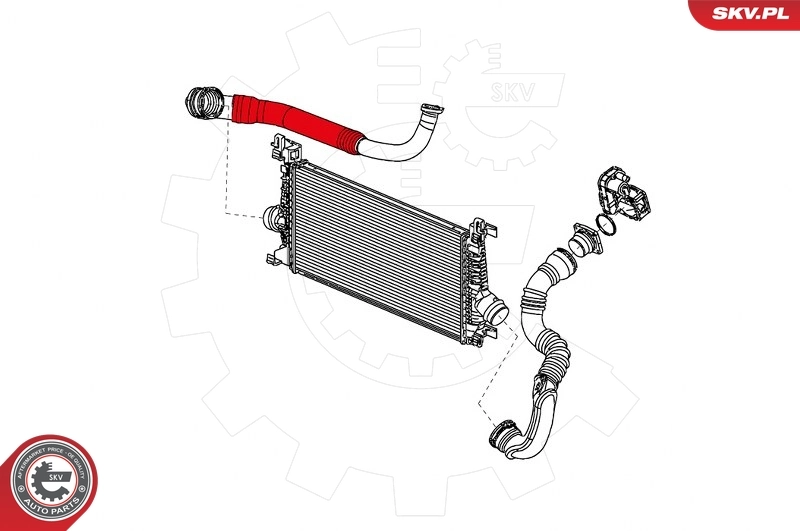 Charge Air Hose 24SKV934