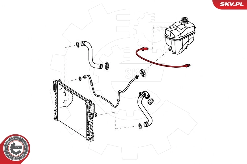 Radiator Hose 43SKV736