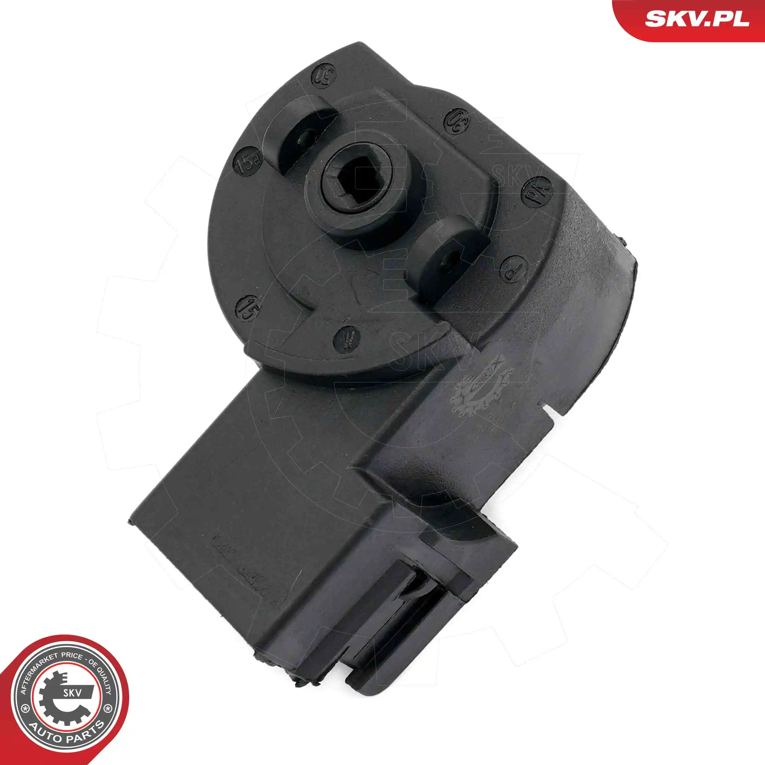 Ignition Switch 65SKV021