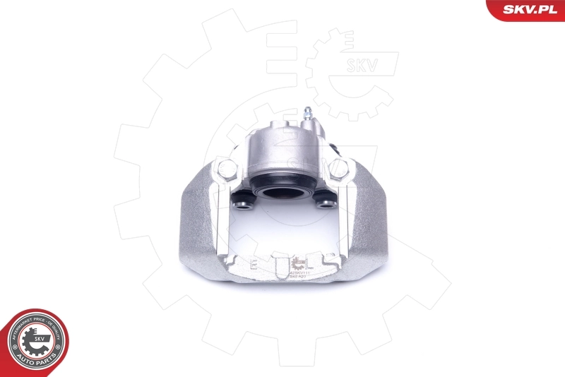 Brake Caliper 42SKV111
