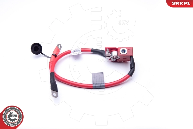 ESEN SKV 96SKV303 Battery Adapter