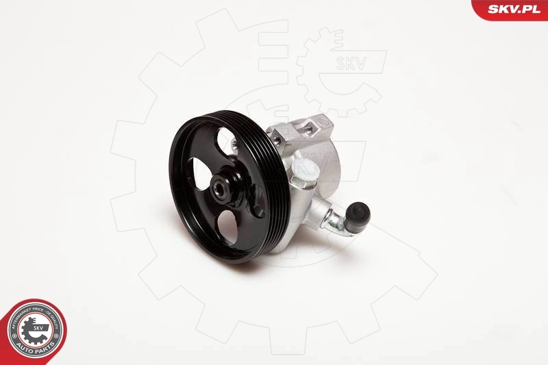 Hydraulic Pump, steering 10SKV031