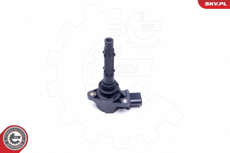 Ignition Coil 03SKV255