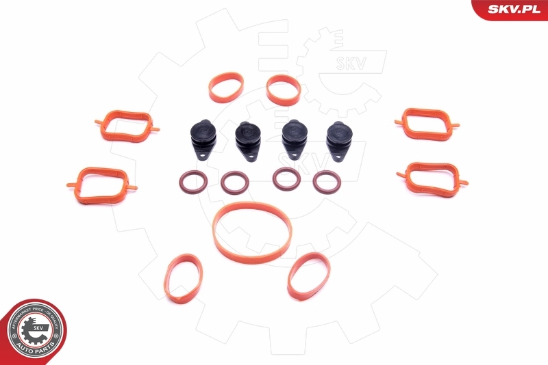 ESEN SKV 49SKV561 Repair Kit, intake manifold module