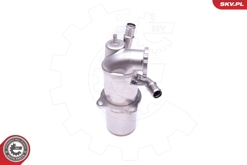 EGR Valve 14SKV222
