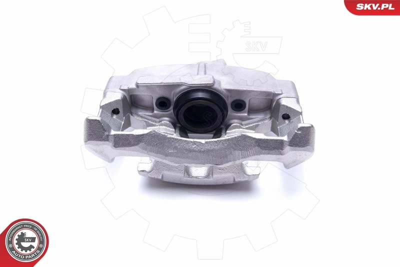 Brake Caliper 55SKV782