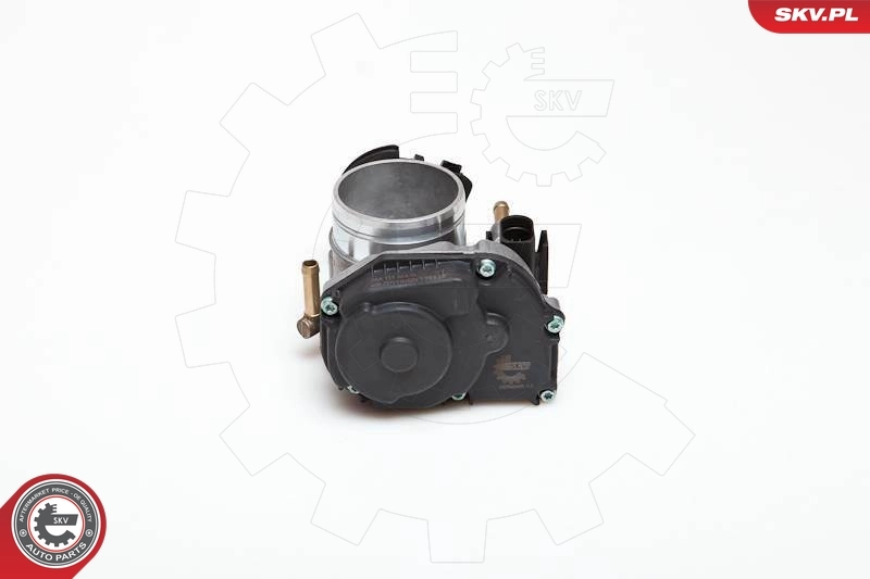 Throttle Body 12SKV010