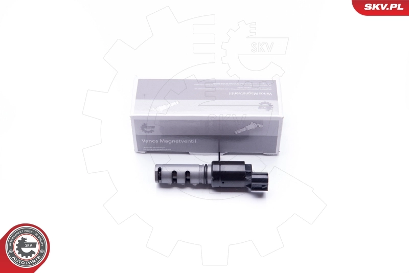 Control Valve, camshaft adjustment 39SKV023