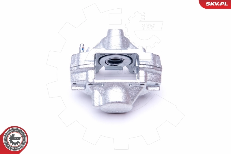 Brake Caliper 45SKV493