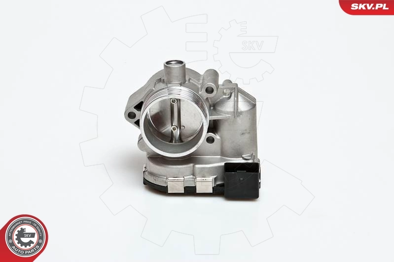 Throttle Body 12SKV001