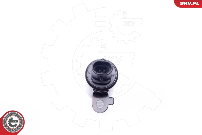 Control Valve, camshaft adjustment 39SKV024
