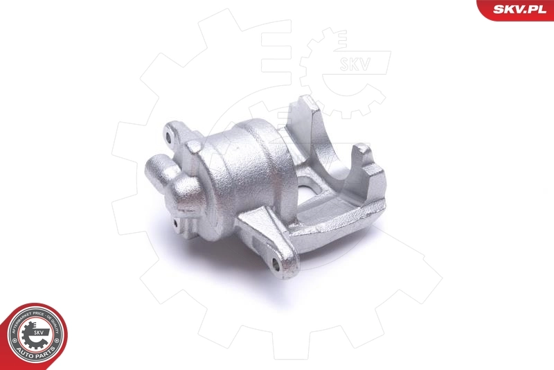 Brake Caliper 55SKV912
