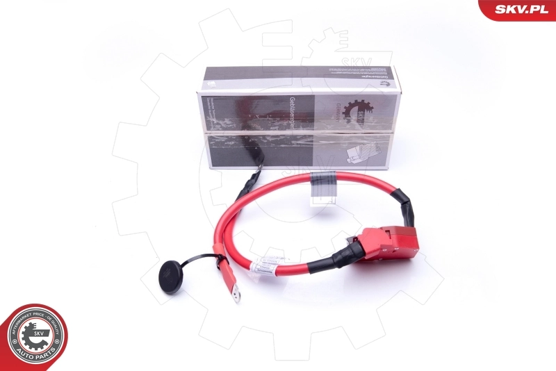 ESEN SKV 96SKV303 Battery Adapter