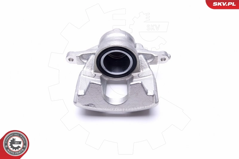 Brake Caliper 46SKV962