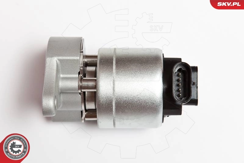EGR Valve 14SKV042