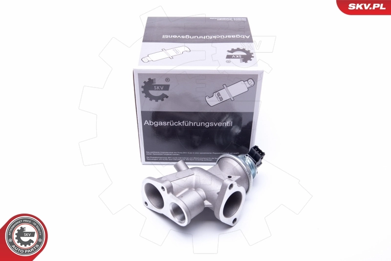 EGR Valve 14SKV181