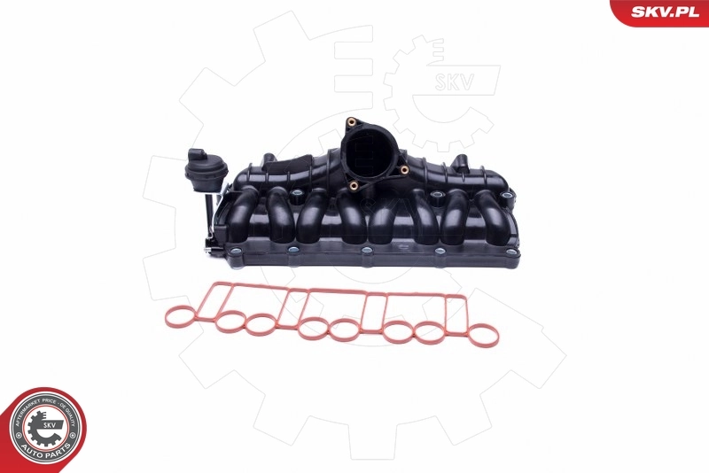 Intake Manifold Module 49SKV036