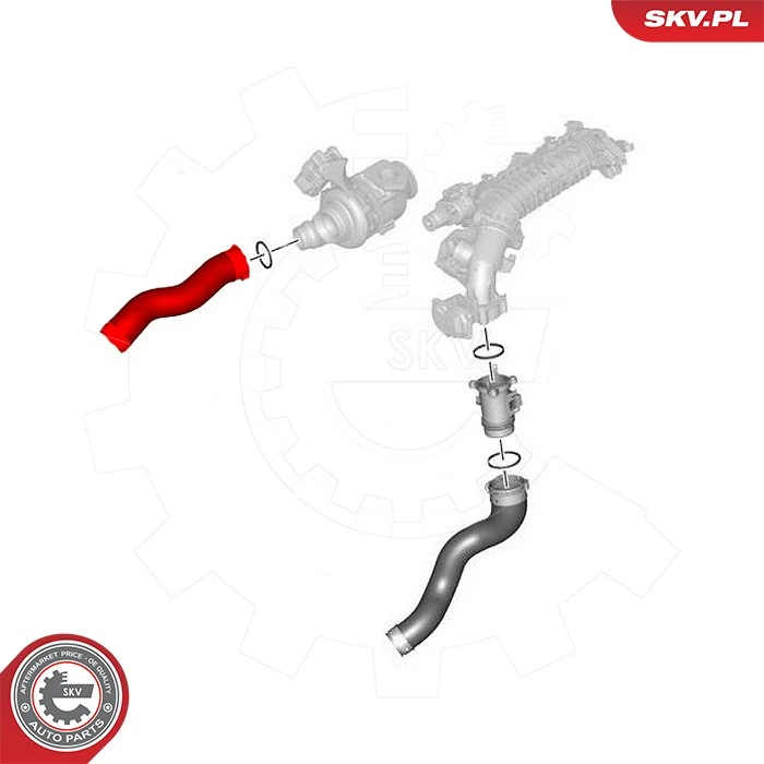 Charge Air Hose 43SKV424