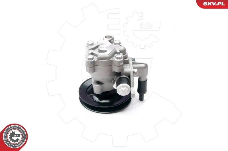 Hydraulic Pump, steering 10SKV204