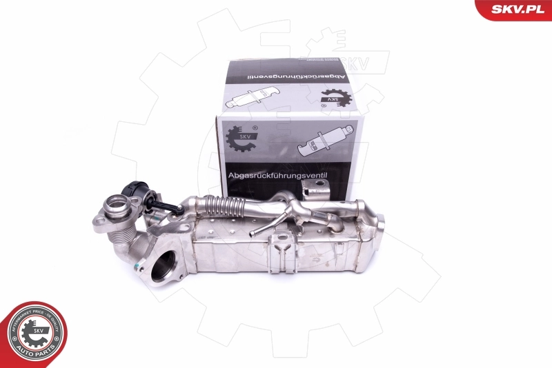 Cooler, exhaust gas recirculation 14SKV228