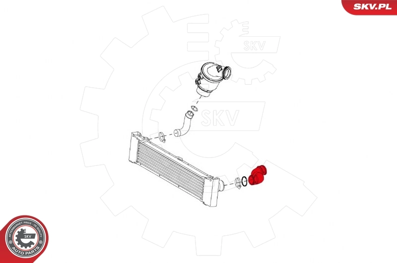 Charge Air Hose 24SKV818