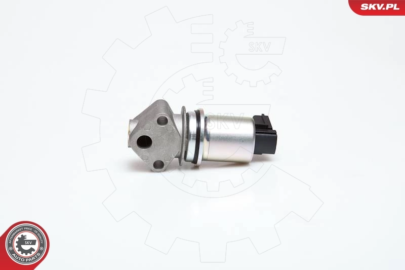 EGR Valve 14SKV029